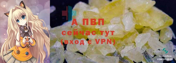 ECSTASY Богданович