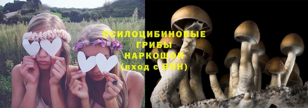 амф Богородицк