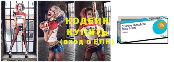 ECSTASY Богданович