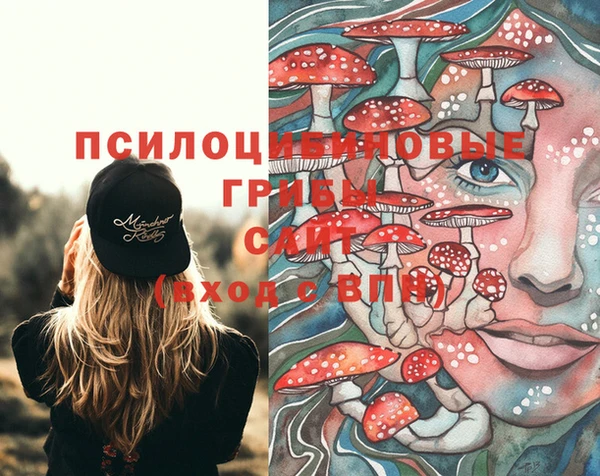 амф Богородицк