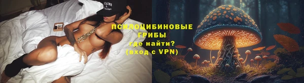 ГАЛЛЮЦИНОГЕННЫЕ ГРИБЫ Богородск