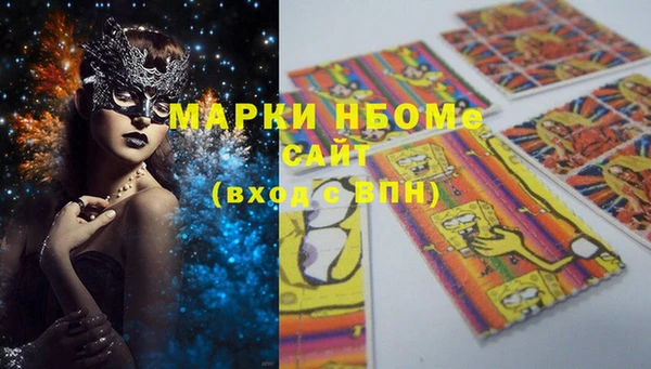 ECSTASY Богданович