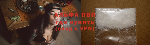 ECSTASY Богданович