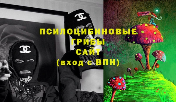 амф Богородицк