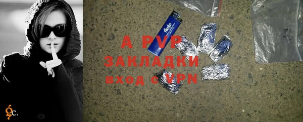 ECSTASY Богданович