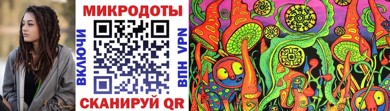 Галлюциногенные грибы Psilocybe  Велиж 